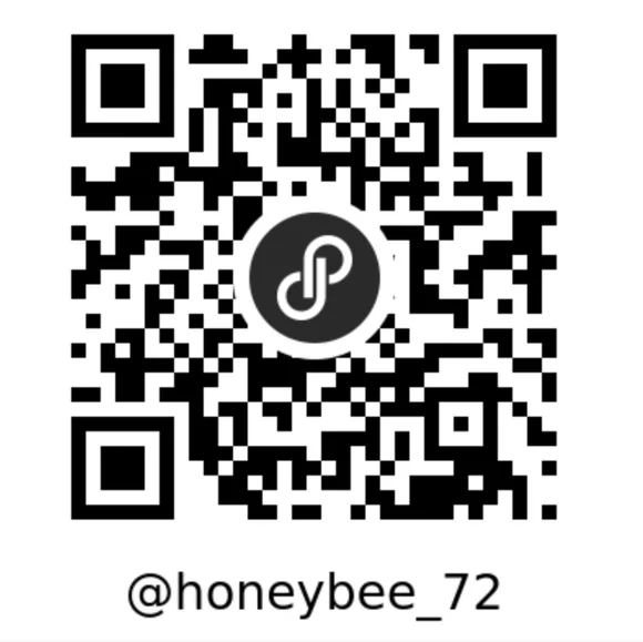 POSH, POSH, PASS RAID Party TRAIN Flyer & UNLISTED During Train 🪅❤️🎊💕🎊🪅💜 - Picture 4 of 10